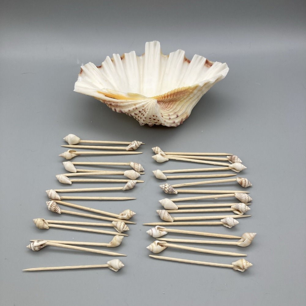 Vintage 1960's Sea Shell Appetizer Pick Set Large Main Shell 32  Toothpicks